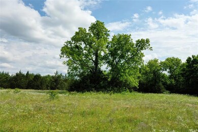 2922 Hwy 406, Denison, TX 75076 - photo 4