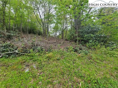3.36 acres to work with combining both tracts.