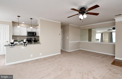 11006 Koman Cir unit 201, Manassas, VA 20109 - photo 7