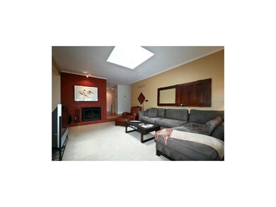 Fireplace & Skylight