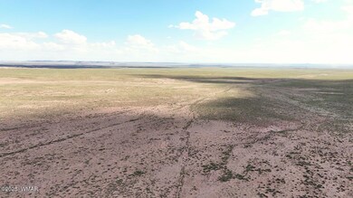 0 Ariz Rancho #85 Lots 005 & 024 unit 258777, Sun Valley, AZ 86029 - photo 5