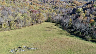 3025 Broad Run Rd, Sinks Grove, WV 24976 - photo 7