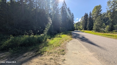 Deep Creek Loop Tract 2 pic 14