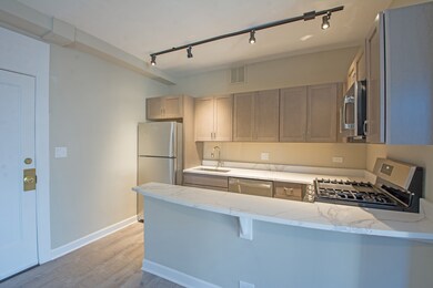 432 W Belmont Ave unit 608, Chicago, IL 60657 - photo 4