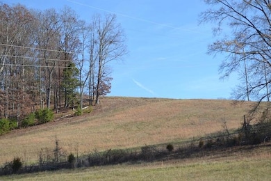 90+/-Acres Old Rhea Springs Rd, Spring City, TN 37381 - photo 3