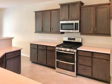 Beautiful Kitchen