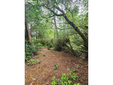 0 Sand Dune Park Dr unit TL 800 254608161, Florence, OR 97439 - photo 7