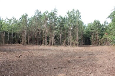 0 Fm 2251 Lot 1 unit 29919240, Lufkin, TX 75904 - photo 5