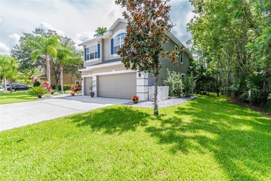 568 Lakewood Dr, Oldsmar, FL 34677 - photo 3
