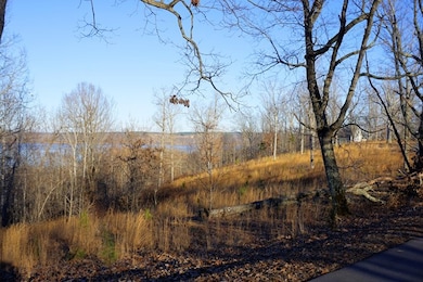 0 River Oaks Lot 19, Big Sandy, TN 38221 - photo 6