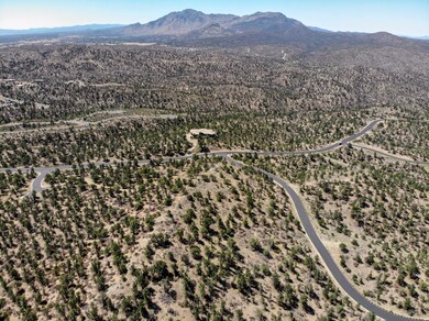 DJI_0138