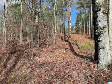 680 Sweet Apple Rd, Pell City, AL 35128 - photo 2