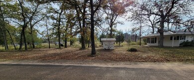 8753 Cr 1200, Athens (Area), TX 75751 - photo 6