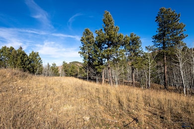 Lot 40 Golden Hills Dr, Sturgis, SD 57785 - photo 6