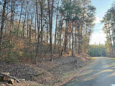 7595 McCombs Mill Rd, Pinson, AL 35126 - photo 3