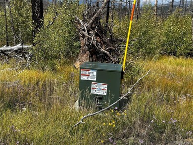 1175-1176 Macomber Ln unit 1175-1176, Fort Garland, CO 81133 - photo 2