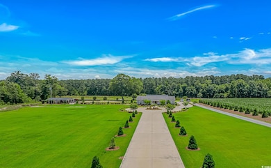 15810 County Line Rd, Andrews, SC 29510 - photo 2