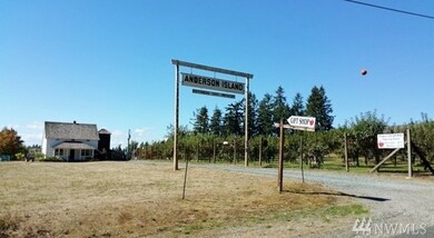 12506 93rd Street Ct unit AI, Anderson Island, WA 98303 - photo 6