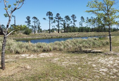 1334 Cross Water Cir, Leland, NC 28451 - photo 5