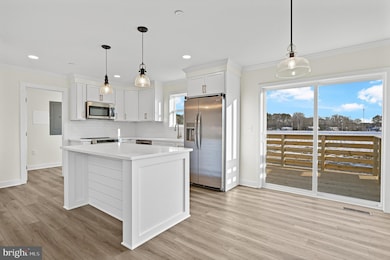 1401 Cedar Run, Pocomoke City, MD 21851 - photo 5