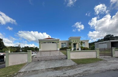 902 Km 0 1 Bo Cayaguas, San Lorenzo, PR 00754 - photo 2