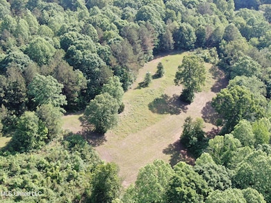 DJI_0559