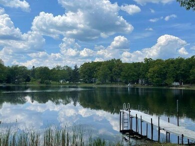 7323 N Eastern Ave, Brohman, MI 49312 - photo 2