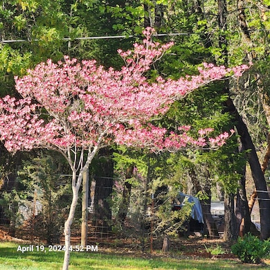 438 Murphy Creek Rd, Grants Pass, OR 97527 - photo 7