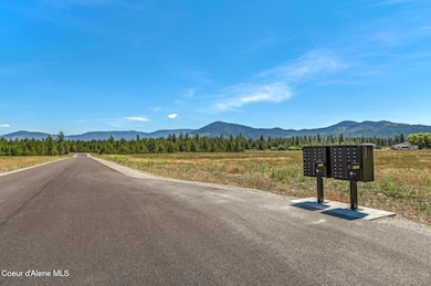 Lot 3 Dawson Lp, Athol, ID 83801 - photo 6