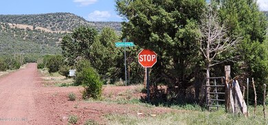 530 W Highland St, Ash Fork, AZ 86320 - photo 3