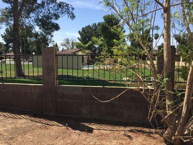 BACKYARD VIEW