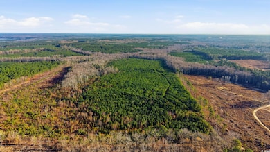 TBD S Carolina 34, Bishopville, SC 29010 - photo 3