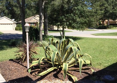 19550 SW 84th Place, Dunnellon, FL 34432 - photo 3