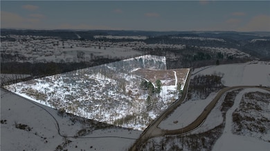 3942 Potato Garden Run Rd, Imperial, PA 15126 - photo 3