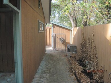 fish hill bush 009