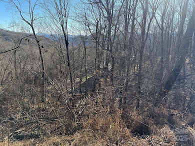 000 Trillium Ln unit 30, Mars Hill, NC 28754 - photo 6