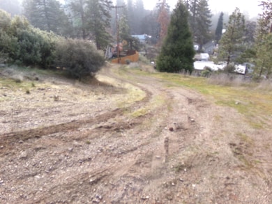 XXX Don St, Fort Jones, CA 96032 - photo 6