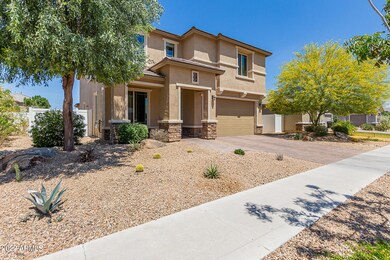 05-Alta Vista