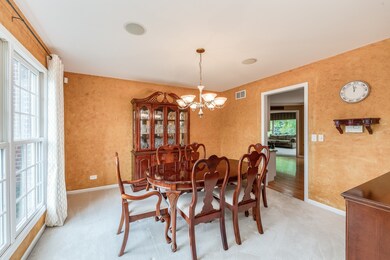 2568 Bangert Ln, Naperville, IL 60564 - photo 5