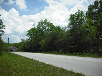 0 Riverview Ct (Lot #45) unit 1081359, Crossville, TN 38555 - photo 6