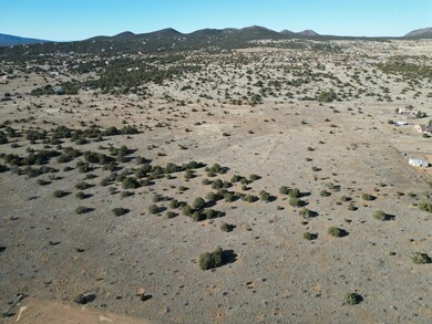 0 Frost & Tumbleweed W2nw4sw4 unit 1081302, Sandia Park, NM 87047 - photo 6
