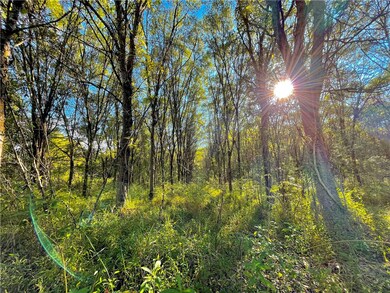 00 Tree Farm Rd, Walhalla, SC 29691 - photo 6