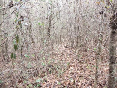 0 Hidden River Ln 50 Ac, Sparta, TN 38583 - photo 7