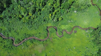 V/L 56th St, Paw Paw, MI 49079 - photo 2