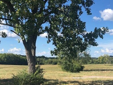 0 Highway 64 W unit 2222989, Shelbyville, TN 37160 - photo 4