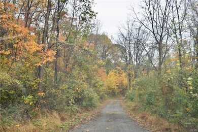 2519 Red Hill Rd, Slatington, PA 18080 - photo 5