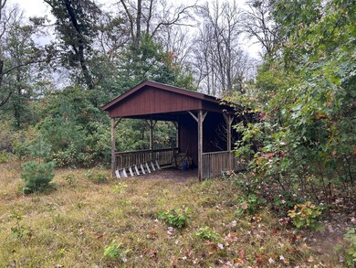 v/l S Broadway St, Baldwin, MI 49304 - photo 4