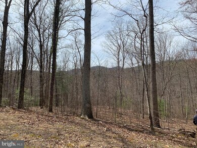 0 FT Valley Rd. Francis Thorton Valley Rd, Sperryville, VA - photo 6