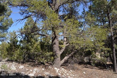 VARIETY OF TREES
