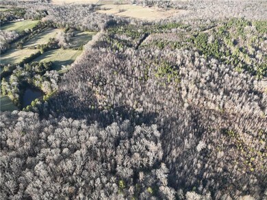 0 Old Bachelor Creek Rd, Seagrove, NC 27341 - photo 6